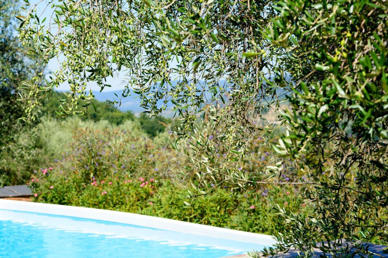 Agriturismo La Pieve Pelago Екстер'єр фото