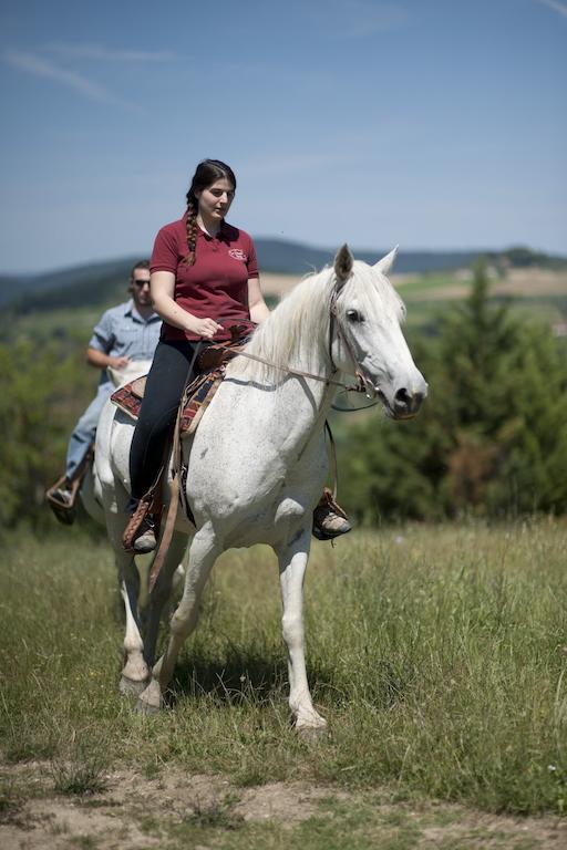 Agriturismo La Pieve Pelago Екстер'єр фото