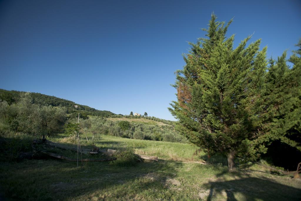 Agriturismo La Pieve Pelago Екстер'єр фото